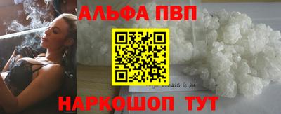 спиды Славгород