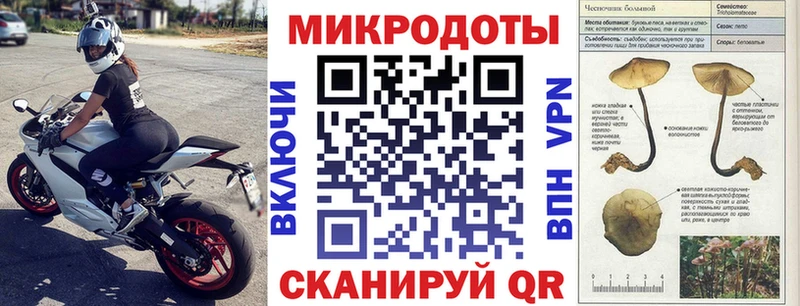 Галлюциногенные грибы прущие грибы  Юрга 