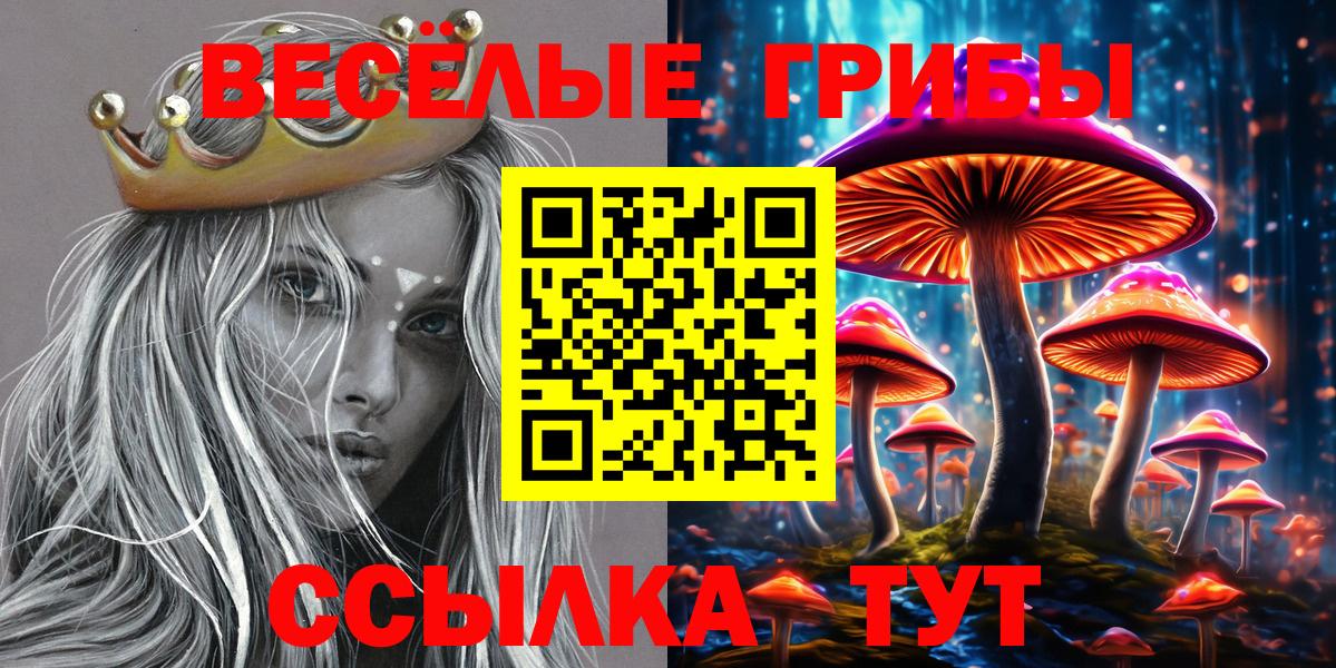 Галлюциногенные грибы Psilocybine cubensis Юрга
